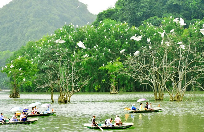 Vườn chim Thung Nam - Ninh Bình